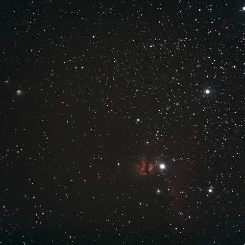 Photo #9840310