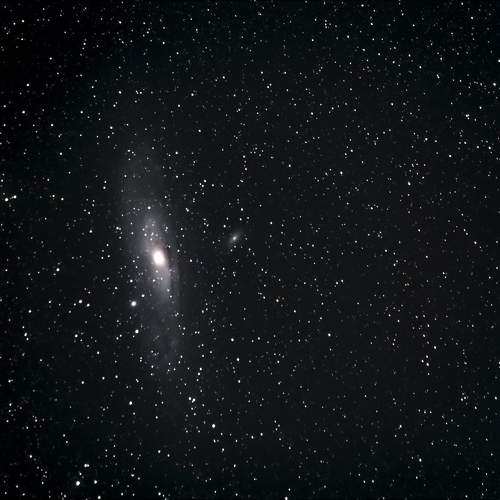 Photo #9840318