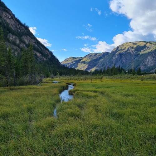 Photo #9840385
