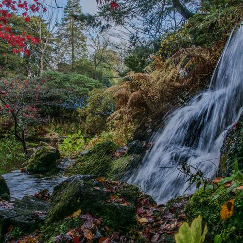 Photo #9840396