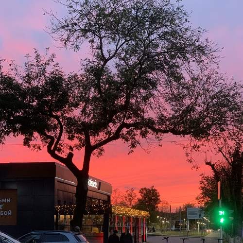 Photo #9840493