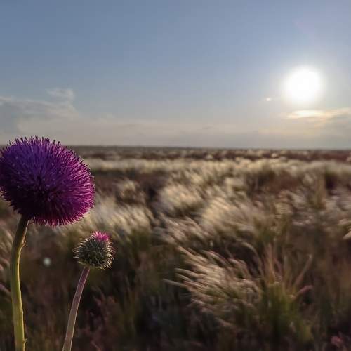 Photo #9841426
