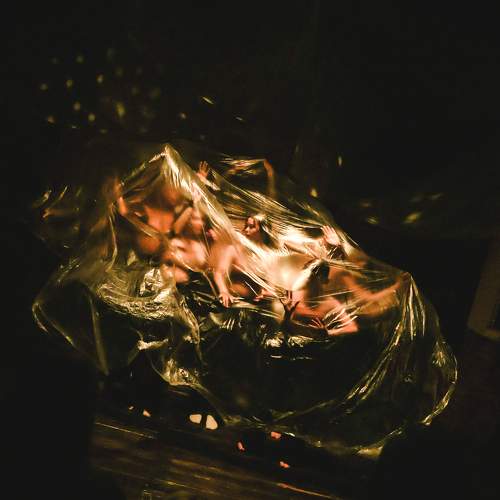 Photo #9841608