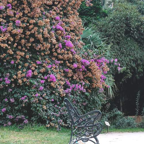 Photo #9841972