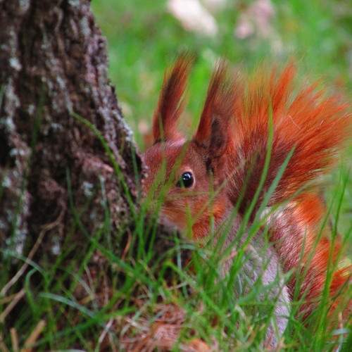 Photo #9842013