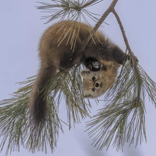 Фотография #9842136