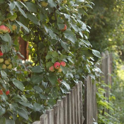 Photo #9842750