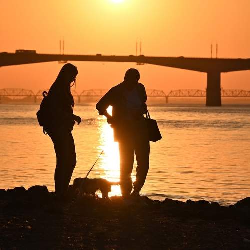 Photo #9842964