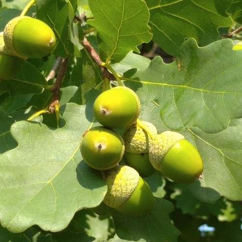 Photo #9843070