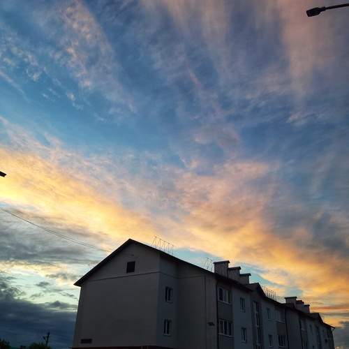 Photo #9843205