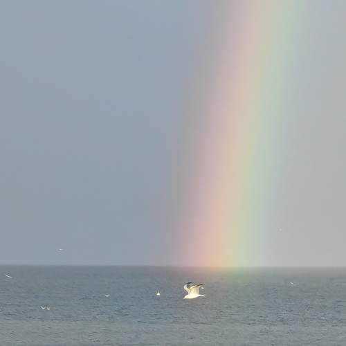 Photo #9843342