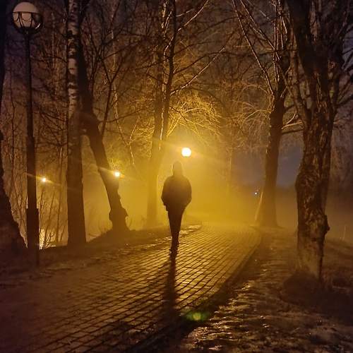 Photo #9843461