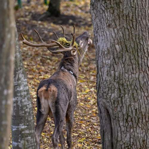 Photo #9843479