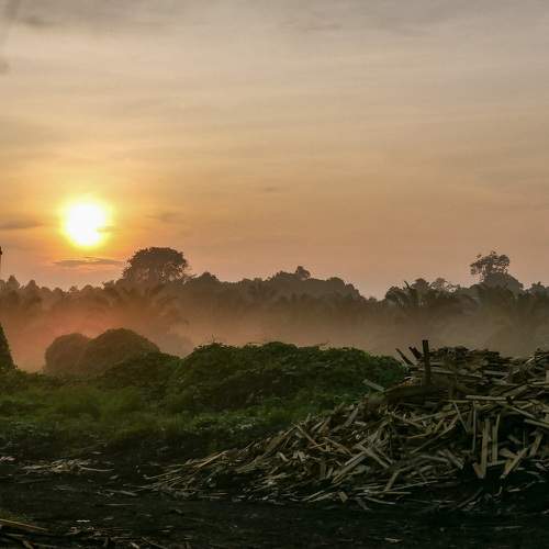 Photo #9843648