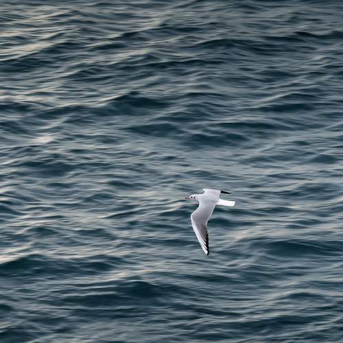 Photo #9843775