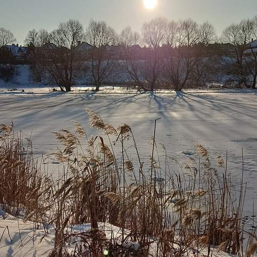 Photo #9843809