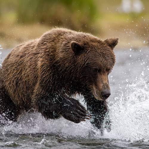 Photo #9843824
