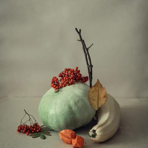 Photo #9844037