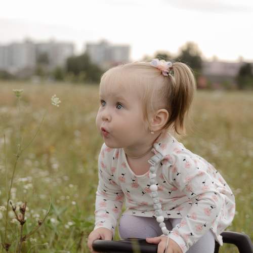 Photo #9844310