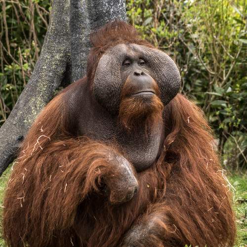 Photo #9844460