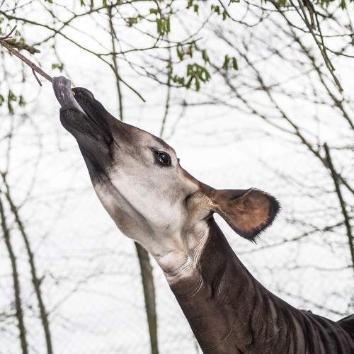 Photo #9844499