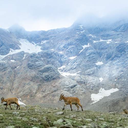 Фотография #9845125