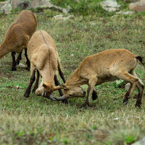 Фотография #9845128