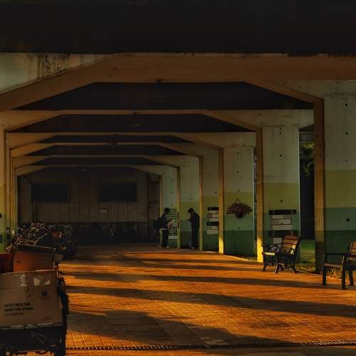 Photo #9845299