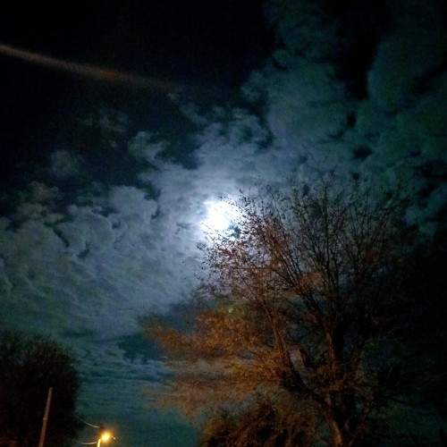 Go look at the moon.