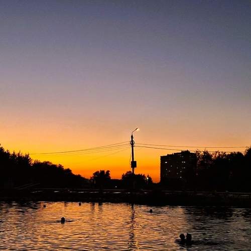 Photo #9845464