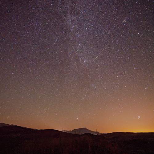 Photo #9845551
