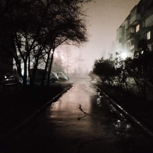 Photo #9845598