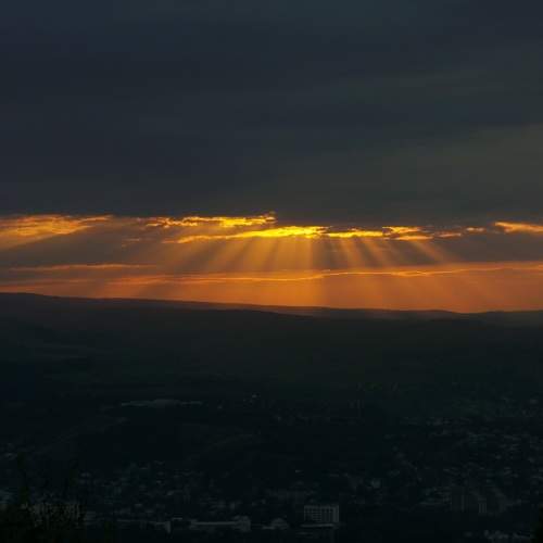 Photo #9845661