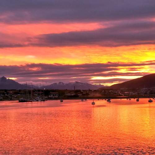Photo #9846254