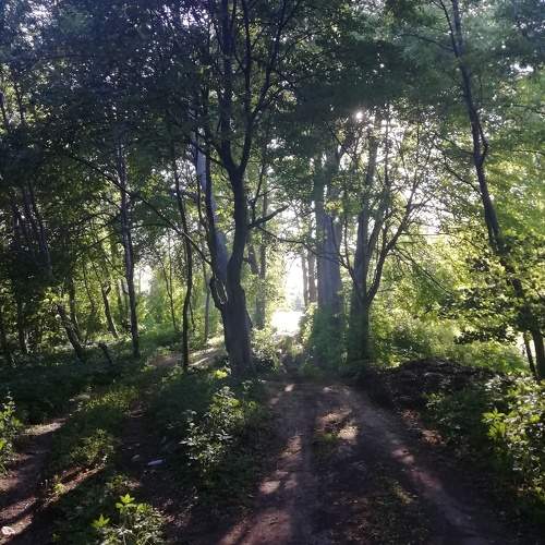 Photo #9846686