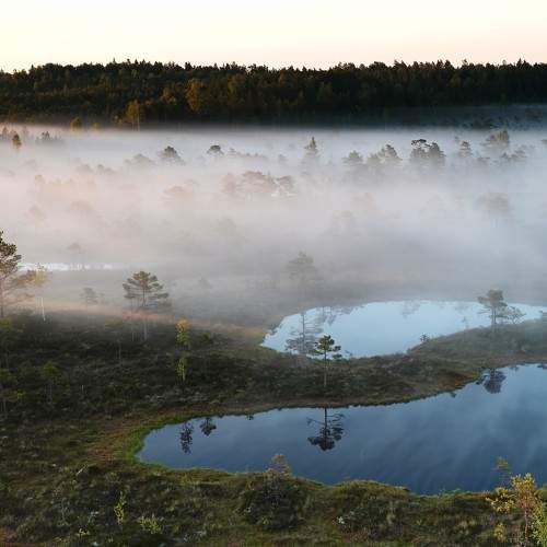 Photo #9846713