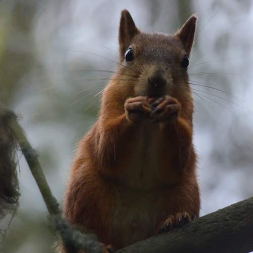 Photo #9846739