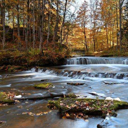 Photo #9846779