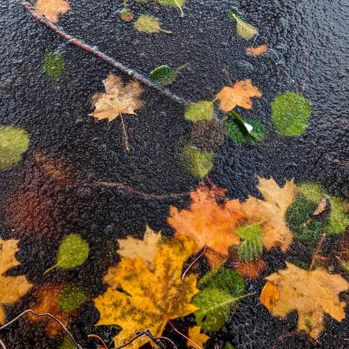 Photo #9846790