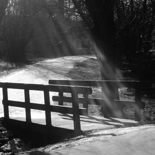 Photo #9847249