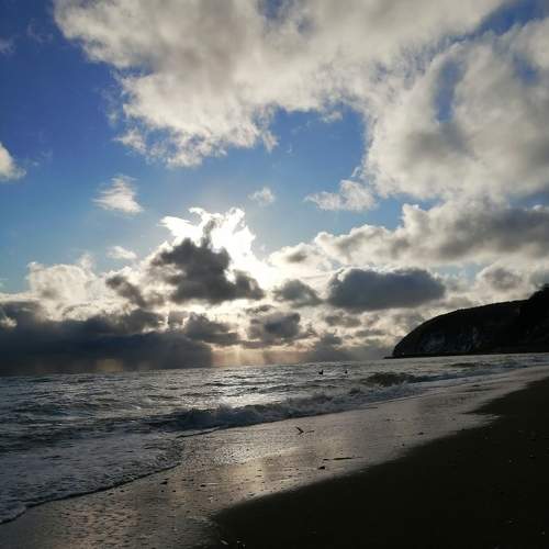 Photo #9847367