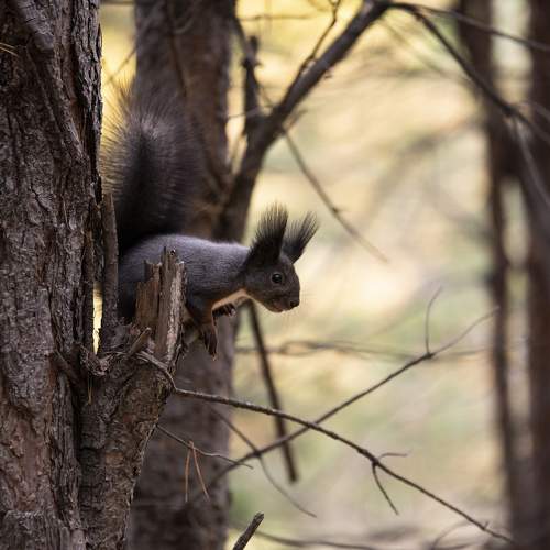 Photo #9847450
