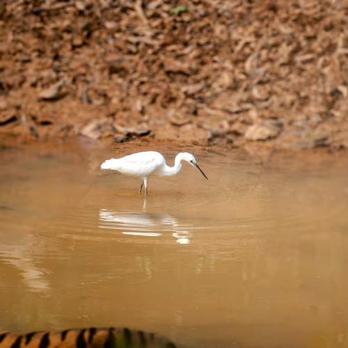 Photo #9847879