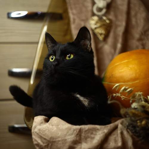 Photo #9847890