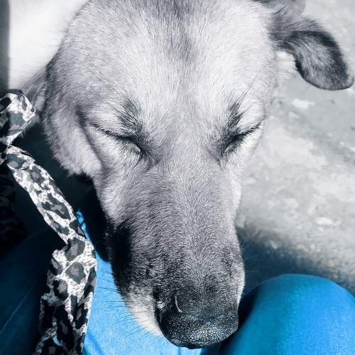 Photo #9847903