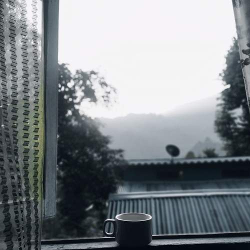 Photo #9847904
