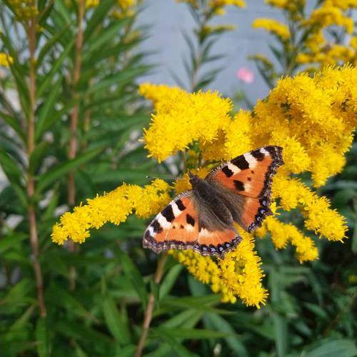 Photo #9847949