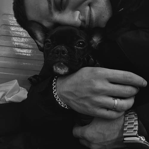 Photo #9848537