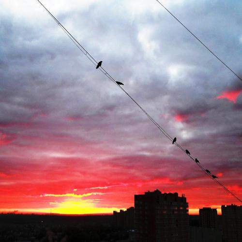 Photo #9848556
