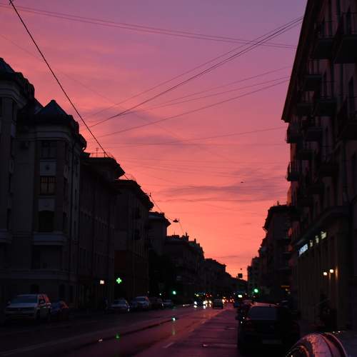 Photo #9848558